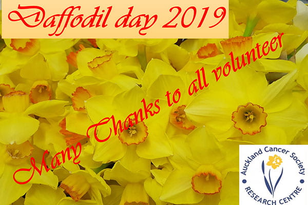 Daffodil Day 30th August 2019