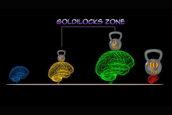 The Goldilocks Effect: Fine-tuning ‘just the right’ dose of hormones in the brain